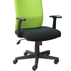 Kursi Kantor Direktur CARRERA ECO 301